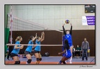 Volley